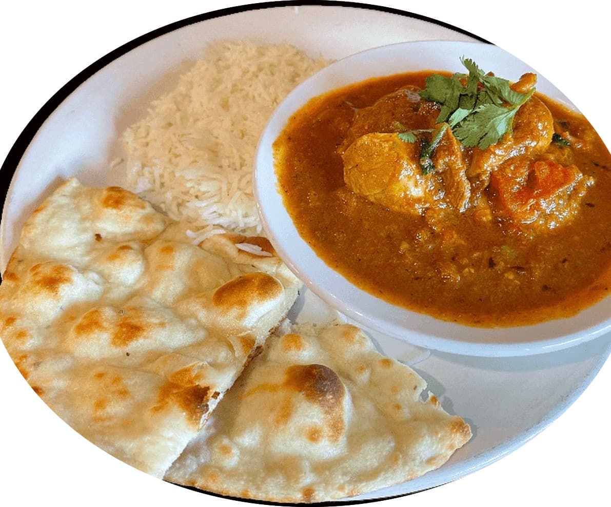 Veg Lunch Special
